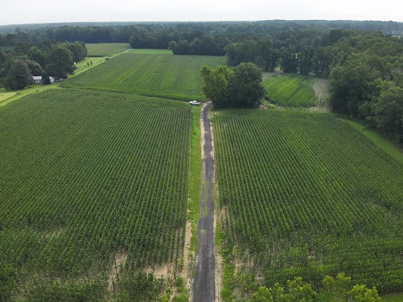 Clarkton, NC 45.56 acres Land and Farms Realty