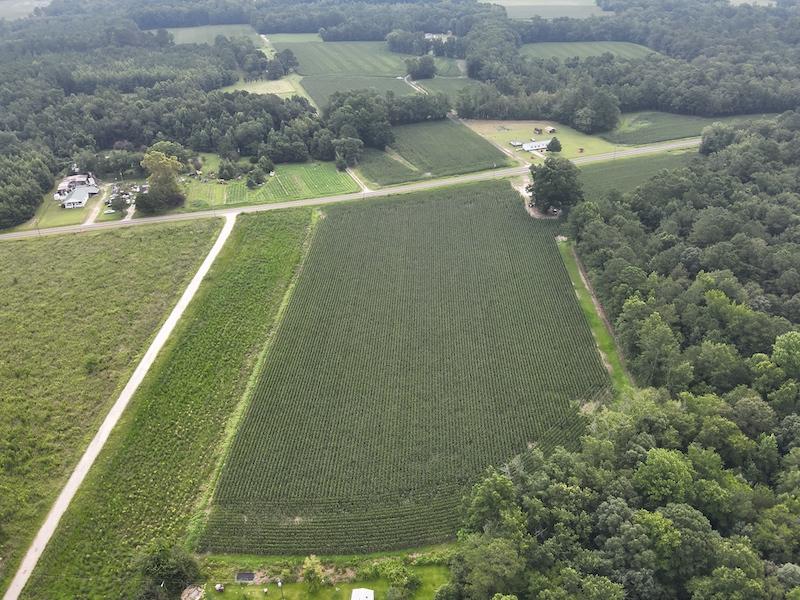 Clarkton, NC 45.56 acres Land and Farms Realty