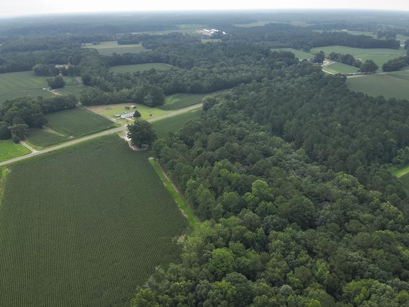 Clarkton, NC 45.56 acres Land and Farms Realty