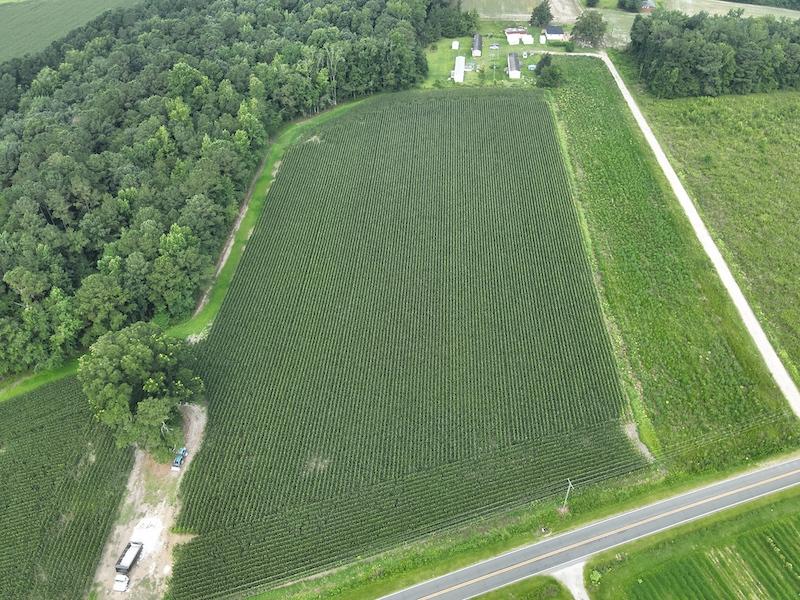 Clarkton, NC 45.56 acres Land and Farms Realty
