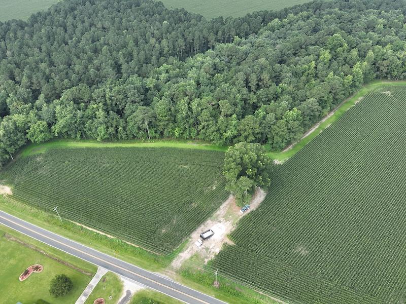 Clarkton, NC 45.56 acres Land and Farms Realty