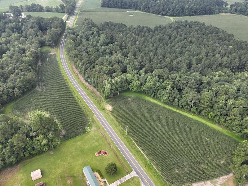 Clarkton, NC 45.56 acres Land and Farms Realty