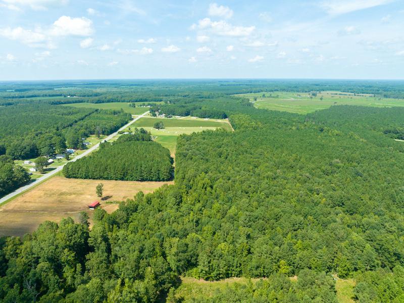 Rich Square, NC 27.79 acres Land and Farms Realty