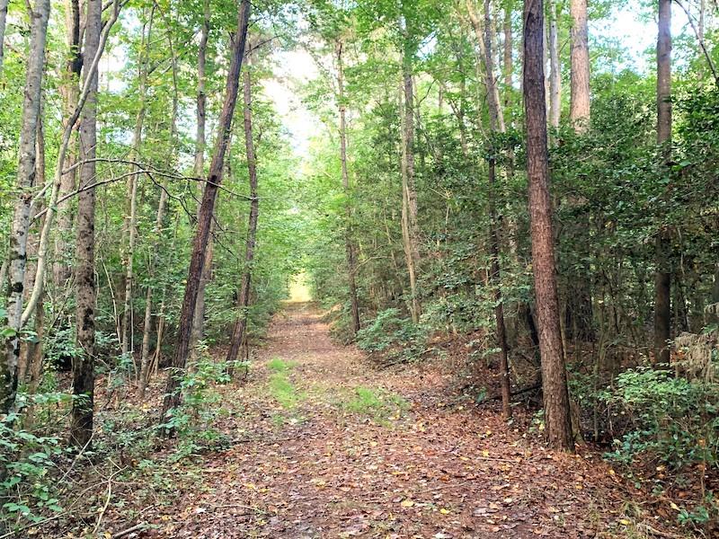 Waverly, VA 150 acres Land and Farms Realty