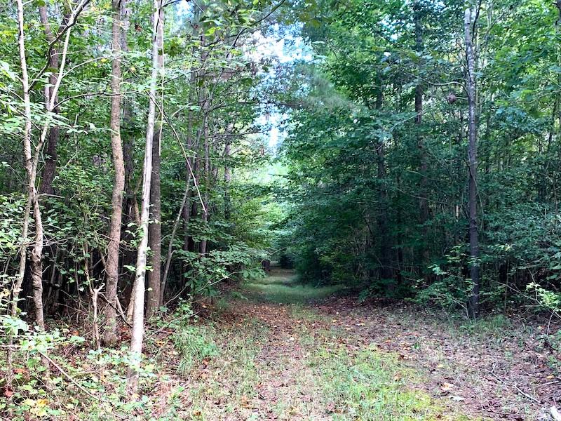 Waverly, VA 150 acres Land and Farms Realty