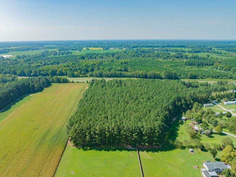 Walstonburg, NC 5.87 acres Land and Farms Realty