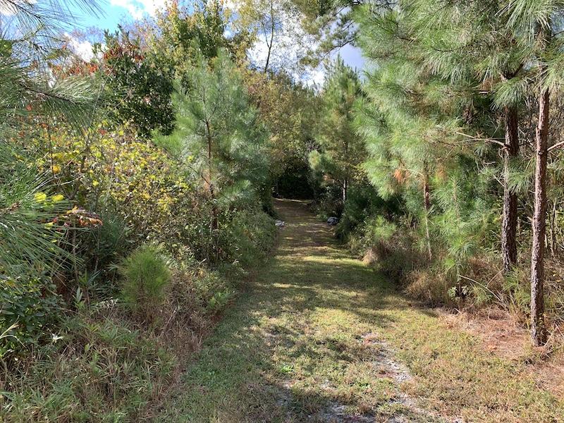 Drewryville, VA 5 acres Land and Farms Realty