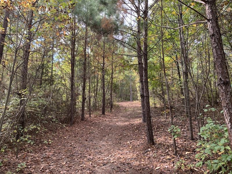 Drewryville, VA 5 acres Land and Farms Realty