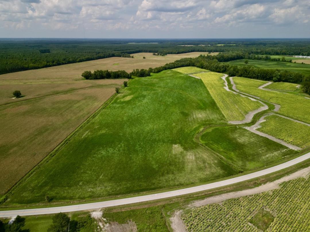 Dover, NC 31.97 acres Land and Farms Realty