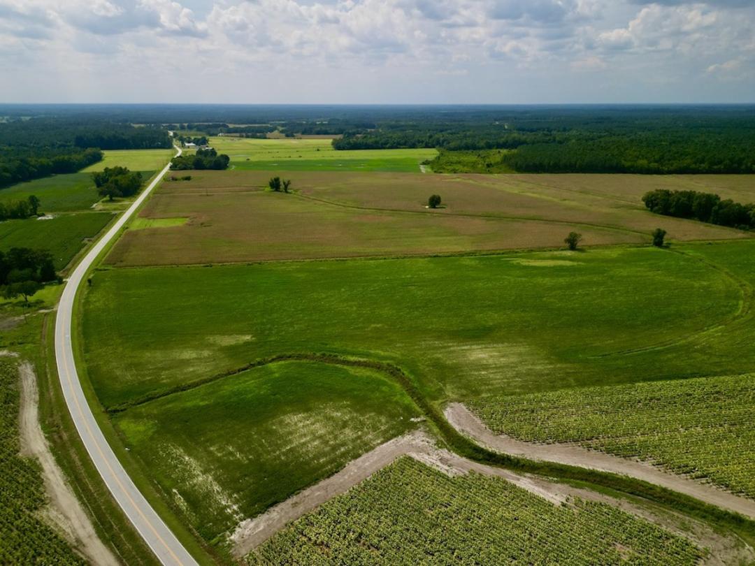 Dover, NC 31.97 acres Land and Farms Realty