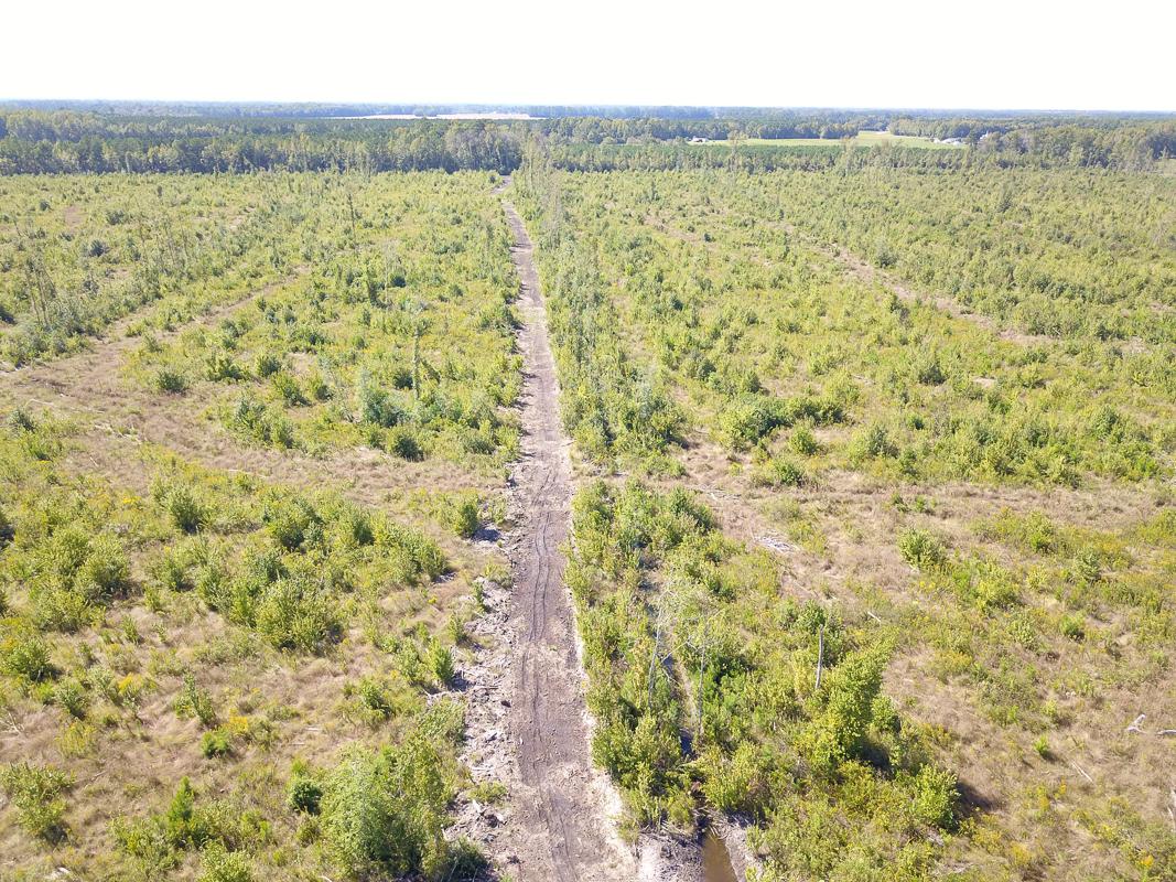 Vanceboro, NC 166 acres Land and Farms Realty
