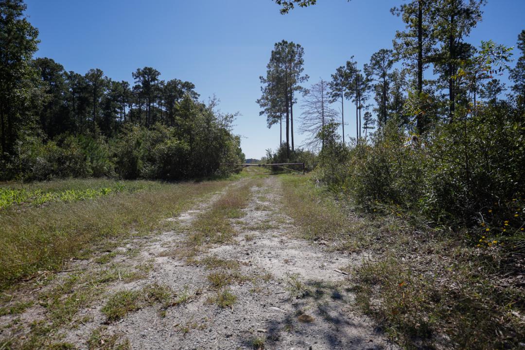 Vanceboro, NC 166 acres Land and Farms Realty