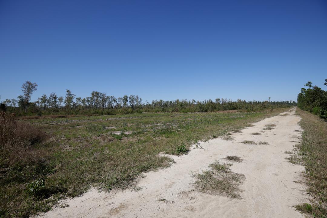 Vanceboro, NC 166 acres Land and Farms Realty