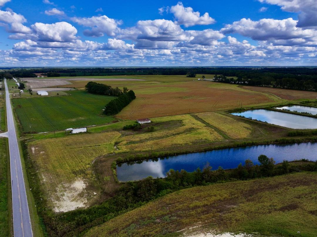 Walstonburg, NC 22.8 acres Land and Farms Realty