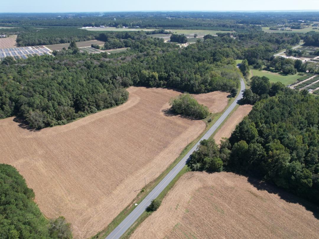 Melfa, VA 78.87 acres Land and Farms Realty