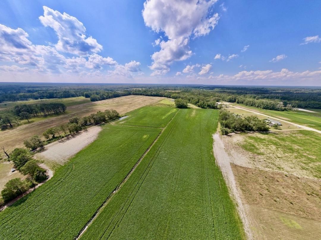 Vanceboro, NC 18.63 acres Land and Farms Realty