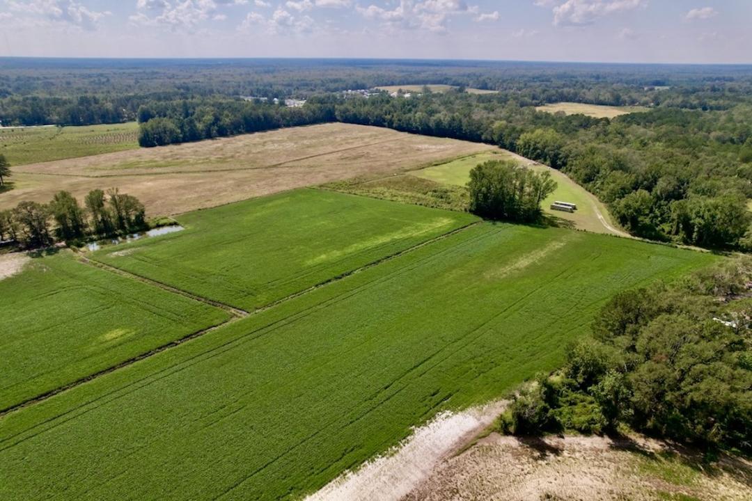 Vanceboro, NC 18.63 acres Land and Farms Realty