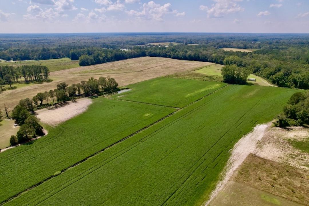 Vanceboro, NC 18.63 acres Land and Farms Realty