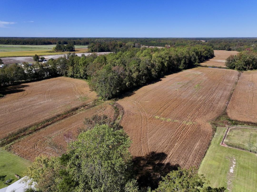 Kinston, NC 17 acres Land and Farms Realty