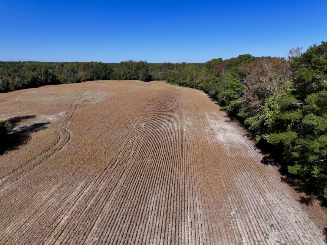Kinston, NC 17 acres Land and Farms Realty