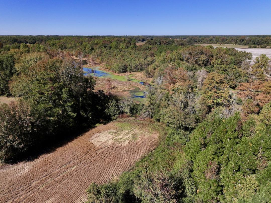Kinston, NC 17 acres Land and Farms Realty