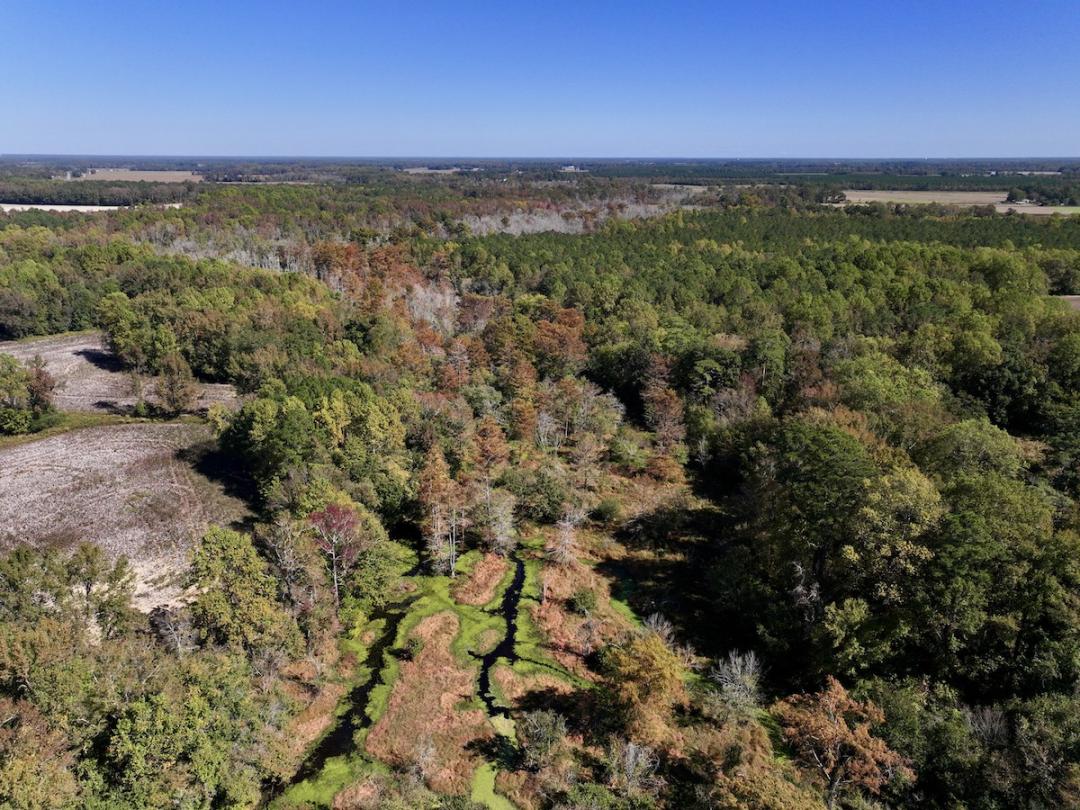 Kinston, NC 17 acres Land and Farms Realty