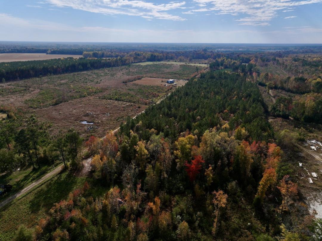 Vanceboro, NC 33.16 acres Land and Farms Realty
