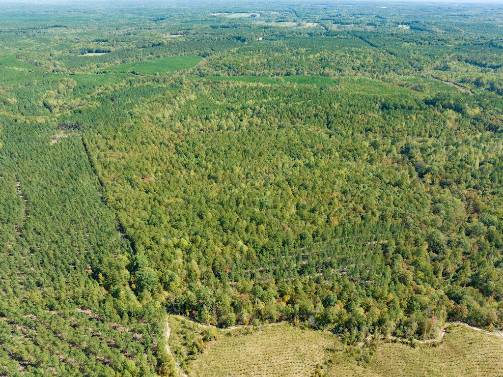 Eagle Springs, NC 36.71 acres Land and Farms Realty