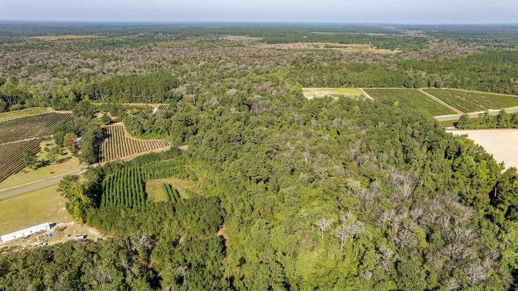 Harrells, NC 15.65 acres Land and Farms Realty