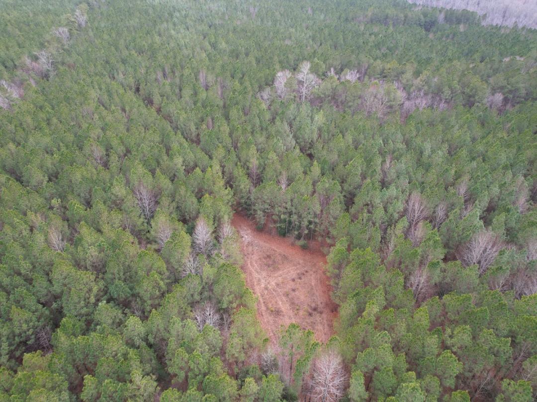 Elberon, VA 100 acres Land and Farms Realty