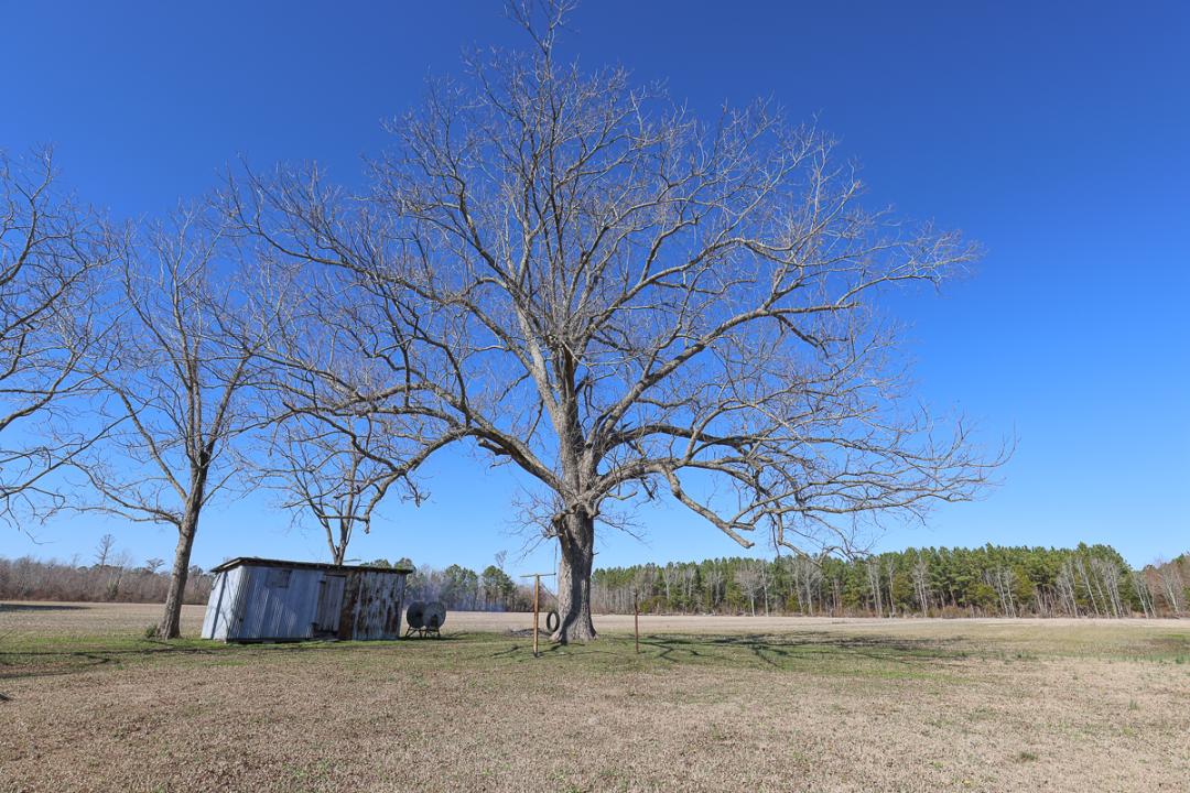 Creswell, NC 26 acres Land and Farms Realty