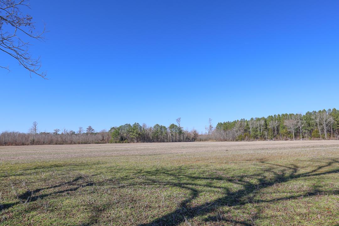 Creswell, NC 26 acres Land and Farms Realty