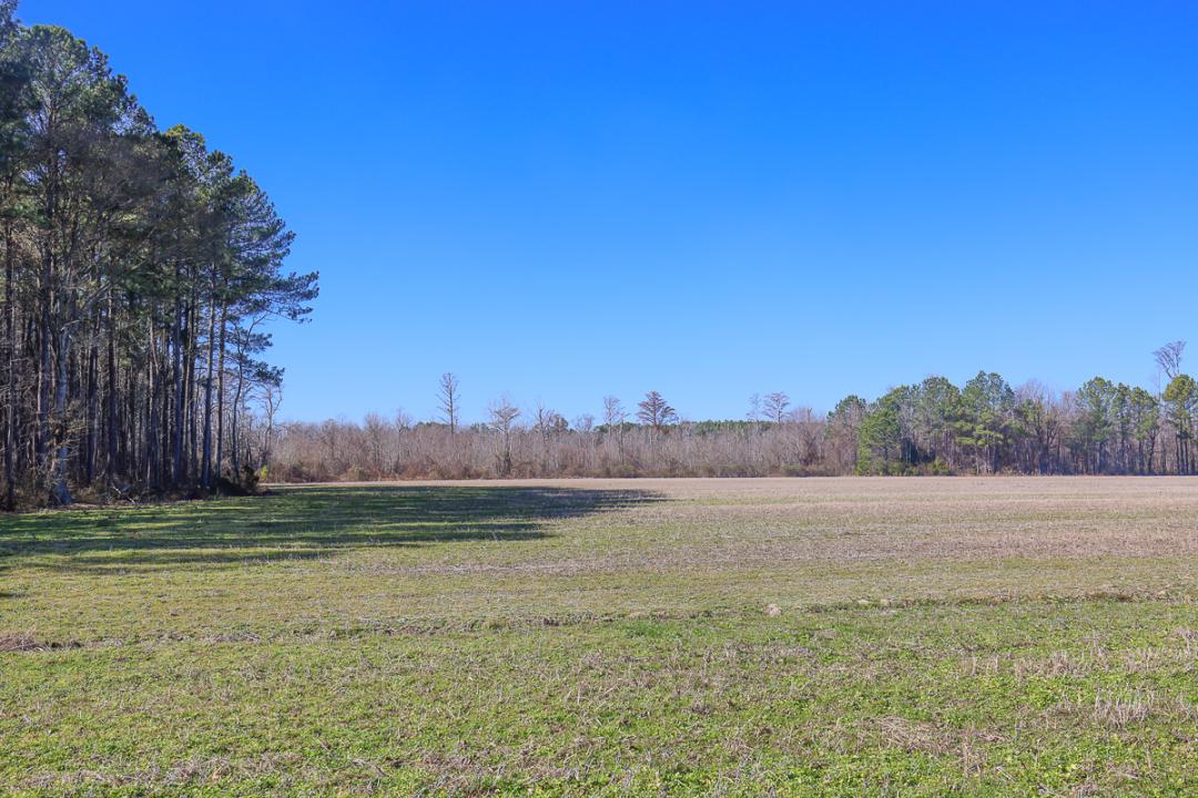 Creswell, NC 26 acres Land and Farms Realty
