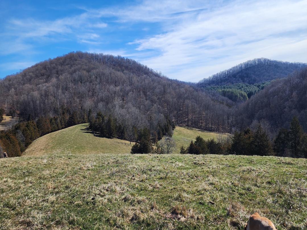 Middlebrook, VA 243.07 acres Land and Farms Realty