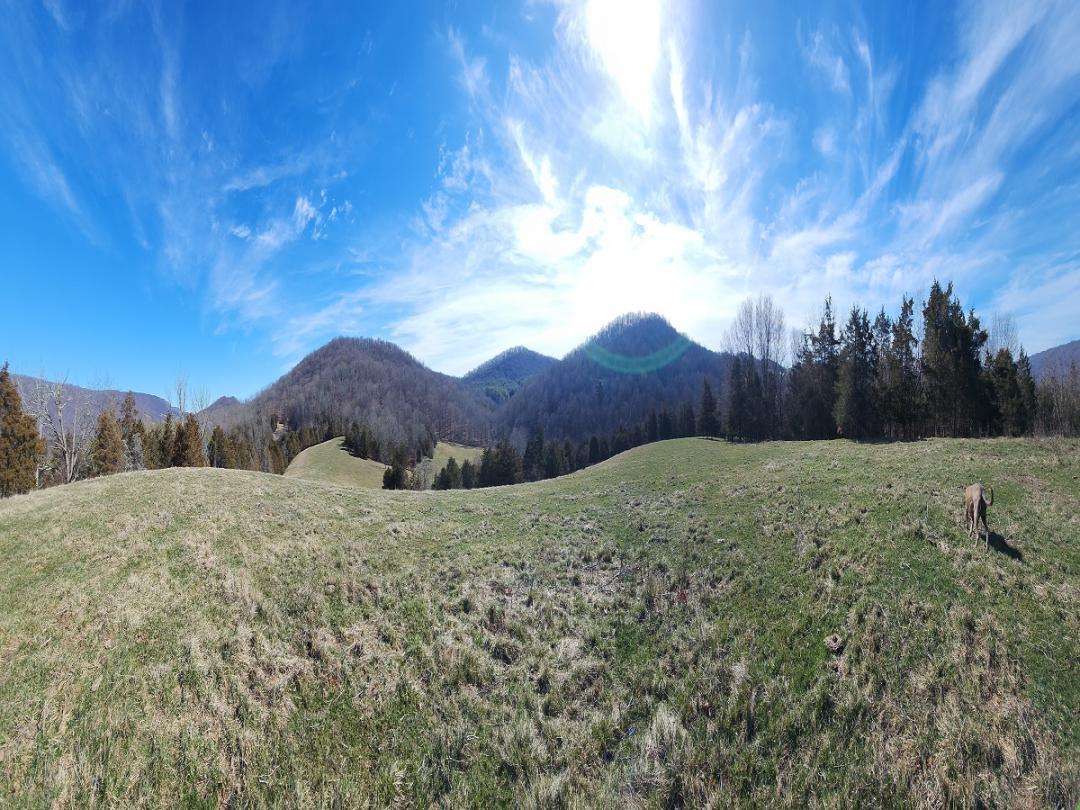 Middlebrook, VA 243.07 acres Land and Farms Realty