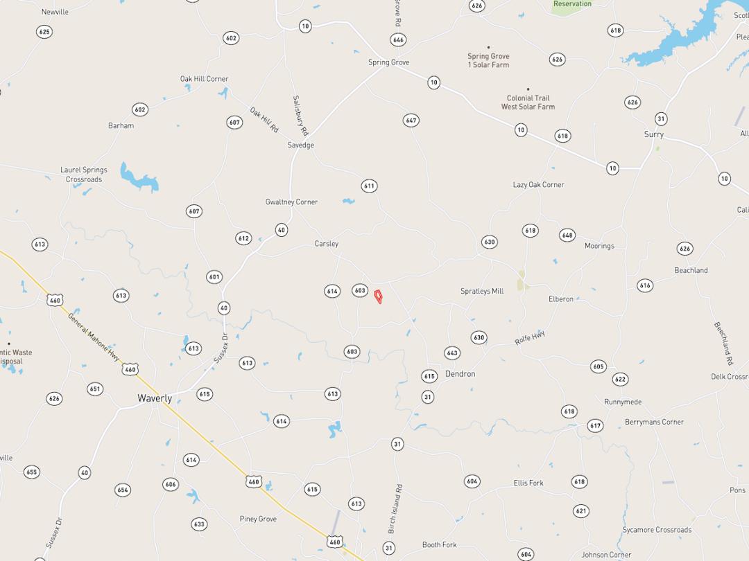 Dendron, VA 20 acres Land and Farms Realty