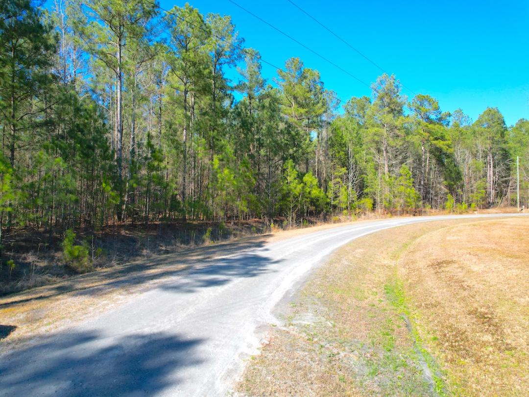 Dendron, VA 20 acres Land and Farms Realty