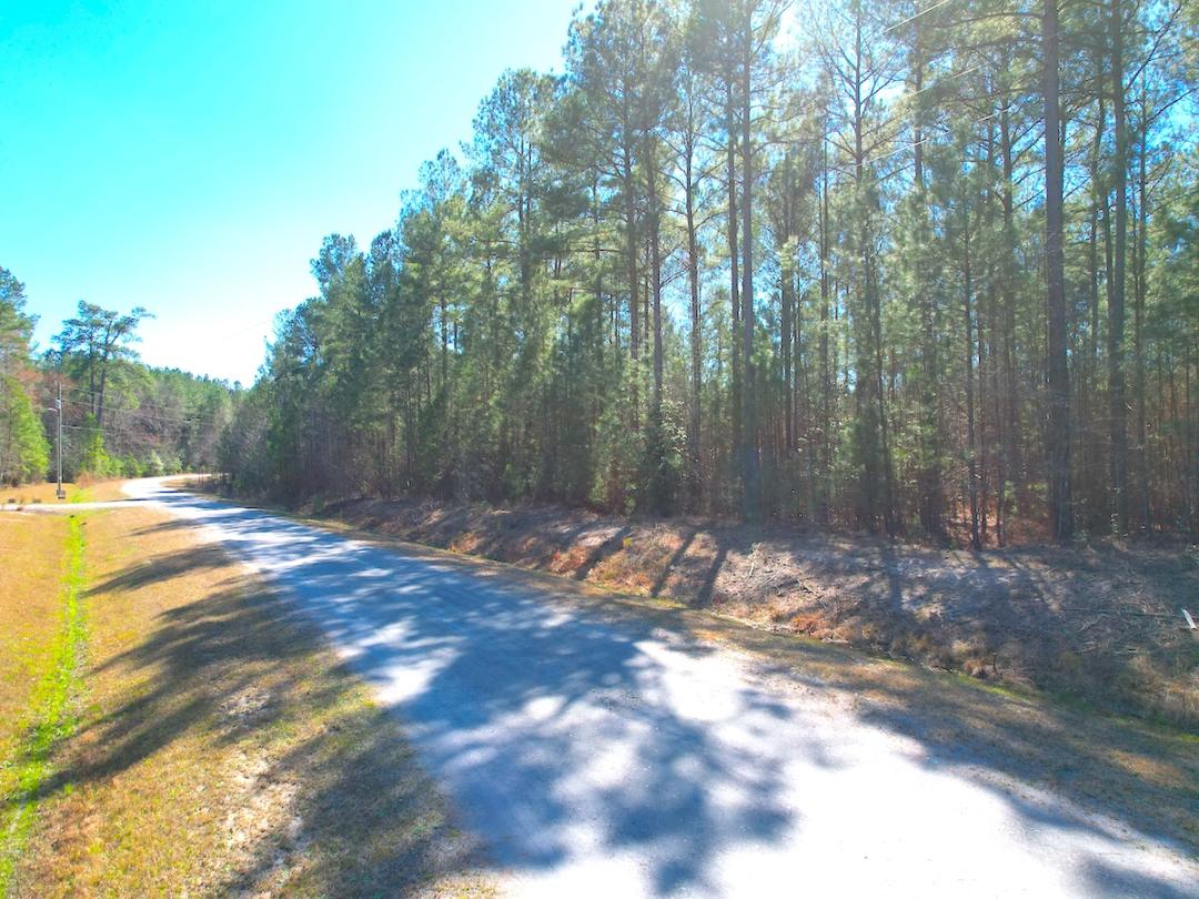 Dendron, VA 20 acres Land and Farms Realty