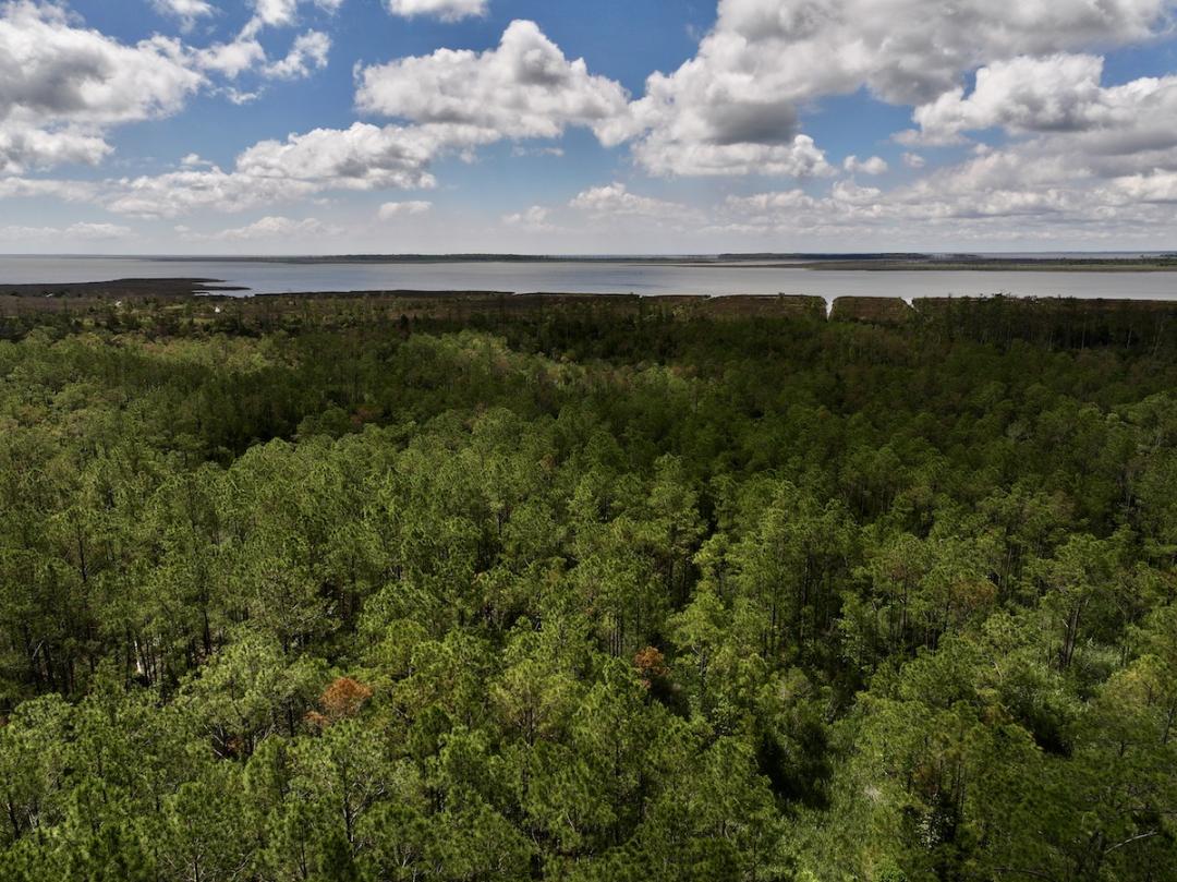 Hobucken, NC 9 acres Land and Farms Realty