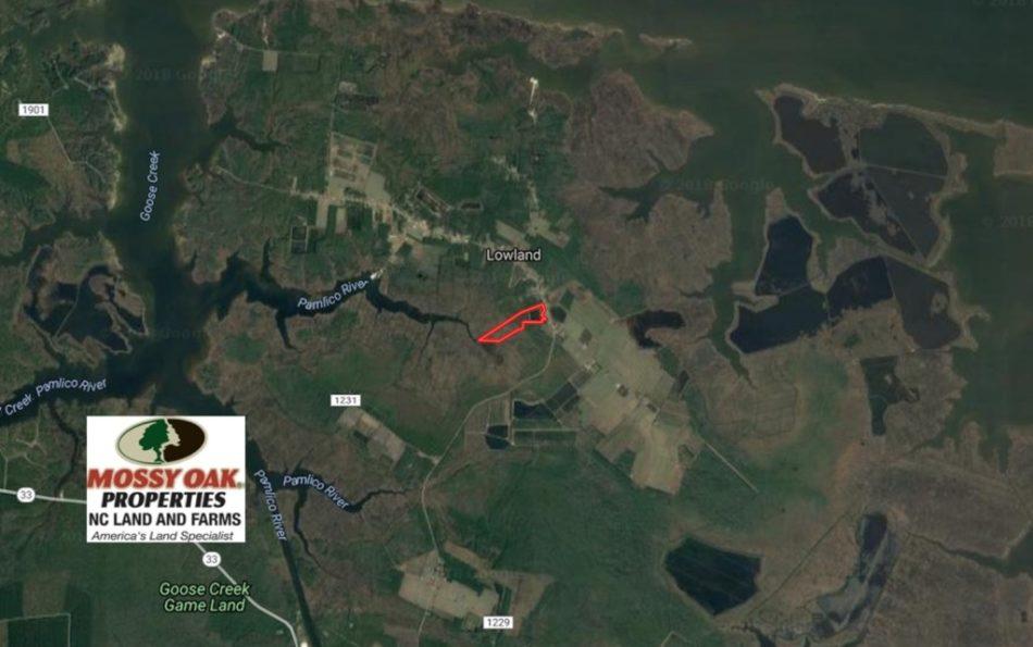 Lowland, NC 35 acres Land and Farms Realty