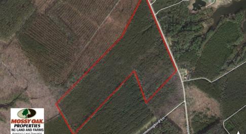 Photo of UNDER CONTRACT!  65 ac of Timber and Hunting Land For Sale in Pamlico County, NC!
