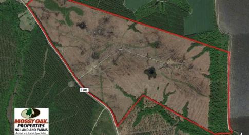 Photo of SOLD!!  300 ac Riverfront Development Land for Sale in Bertie County, NC!