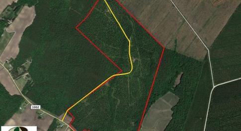 Photo of UNDER CONTRACT!  217 ac Timber and Hunting Land for Sale in Jones County NC!