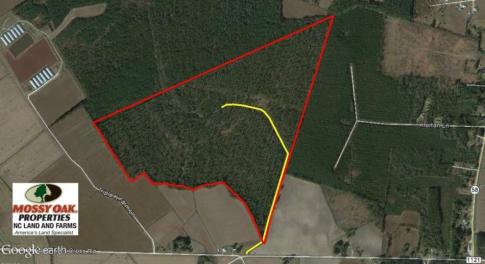 Photo of UNDER CONTRACT!  158 Acres of Land for Sale in Jones County NC!