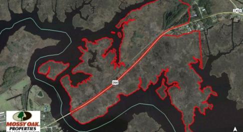 Photo of UNDER CONTRACT!  286 ac Waterfront Hunting Land for Sale in Hyde County NC!