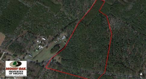 Photo of SOLD!  26 Acres of Hunting Land with Home Site For Sale in Accomack County VA!