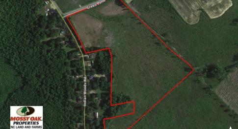 Photo of UNDER CONTRACT!  27.65 Acres of Hunting Land For Sale In Bertie County NC!