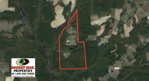 Photo of SOLD!  120 Acres of Hunting Land For Sale in Nash County NC!
