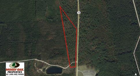 Photo of SOLD!  12.7 Acres of Timberland For Sale in Pamlico County NC!