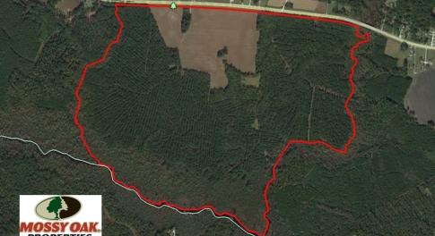 Photo of REDUCED!  443.3 Acres of Farm and Timber Land For Sale In Pamlico County NC!